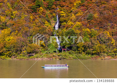 [Yamagata Prefecture_Shiraito Falls] Shiraito Falls with Autumn Leaves and Boat Ride through Autumn Leaves October November 134189888