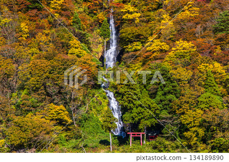 【山形縣_白絲瀑布】十月至十一月，白絲瀑布秋葉美景及遊船賞楓之旅 134189890