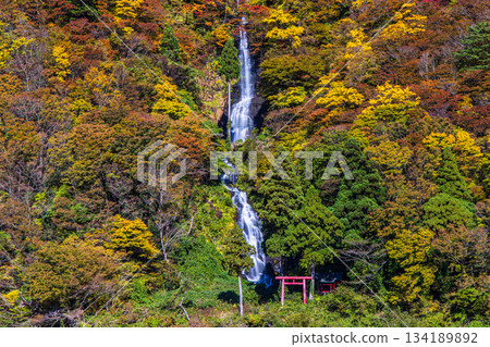【山形縣_白絲瀑布】十月至十一月，白絲瀑布秋葉美景及遊船賞楓之旅 134189892