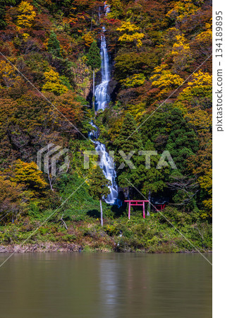 [Yamagata Prefecture_Shiraito Falls] Shiraito Falls with Autumn Leaves and Boat Ride through Autumn Leaves October November 134189895