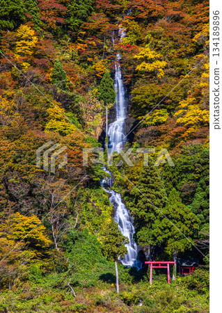 【山形縣_白絲瀑布】十月至十一月，白絲瀑布秋葉美景及遊船賞楓之旅 134189896