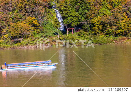 [Yamagata Prefecture_Shiraito Falls] Shiraito Falls with Autumn Leaves and Boat Ride through Autumn Leaves October November 134189897
