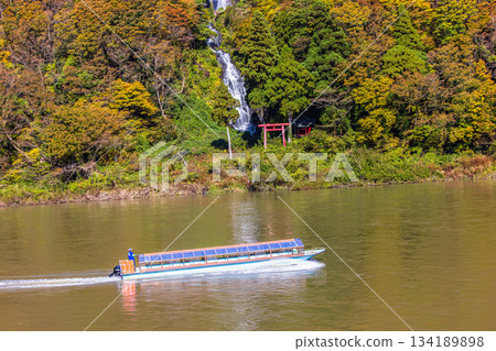 [Yamagata Prefecture_Shiraito Falls] Shiraito Falls with Autumn Leaves and Boat Ride through Autumn Leaves October November 134189898