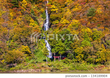 [Yamagata Prefecture_Shiraito Falls] Shiraito Falls with Autumn Leaves and Boat Ride through Autumn Leaves October November 134189904
