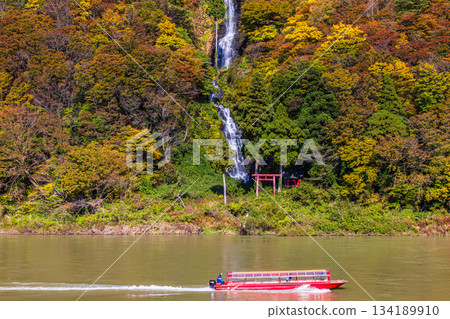 [Yamagata Prefecture_Shiraito Falls] Shiraito Falls with Autumn Leaves and Boat Ride through Autumn Leaves October November 134189910