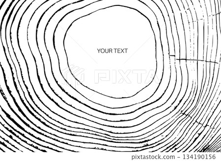 Wood cross section Wood cross section 134190156