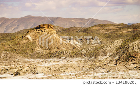 View of the Tabernas desert in Spain 134190203