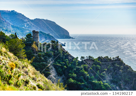 Spanish coast with Pine Tower, Andalusia. 134190217