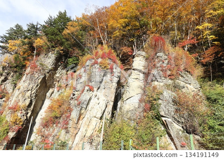 長野縣高山村，秋葉染紅的懸崖 134191149