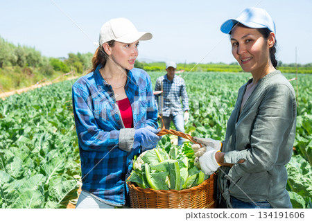 Two happy female farmers holding a basket with cauliflower harvest Two happy female farmers holding a basket with cauliflower harvest 134191606