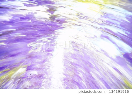 淡紫色時光 淡紫色時光 134191916