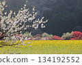 金色的地毯和花燈，遠處的景色色彩斑斕 134192552