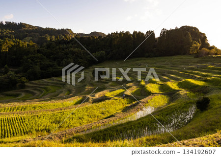 Japan's 100 Best Rice Terraces (Oyama Senmaida) 134192607