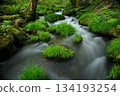 令人放鬆的北谷澤山谷 134193254