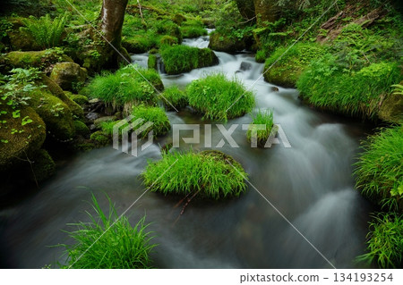 令人放鬆的北谷澤山谷 令人放鬆的北谷澤山谷 134193254