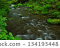 北谷澤山谷很美 134193448