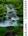令人放鬆的北谷澤山谷 134193449