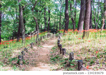 Mount Ontake Natural Forest Park, Manjushage 2-88 Mount Ontake Natural Forest Park, Manjushage 2-88 134193679