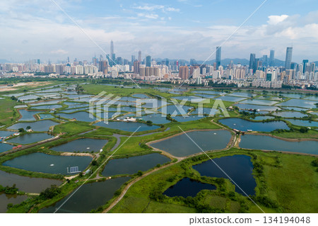 Aerial view of rural green fields with fish ponds on Hong Kong and the skylines of Shenzhen 134194048