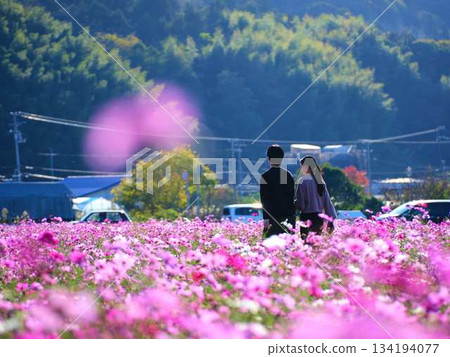 一對情侶在宇宙田野中約會 134194077