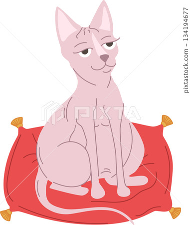 Hairless cat on pillow 134194677