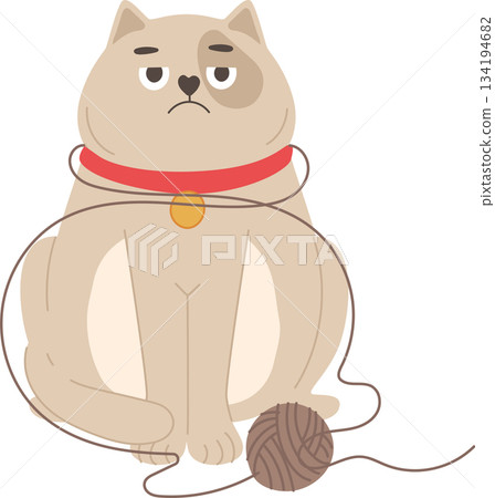 Beige cat with yarn ball Beige cat with yarn ball 134194682