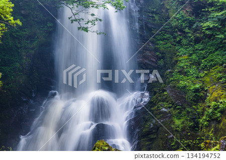 [Akita Prefecture_Naso Shirataki] The thunderous sound of Shirataki waterfalls greets you with a powerful yet refreshing feeling 134194752