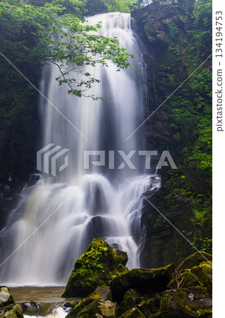 [Akita Prefecture_Naso Shirataki] The thunderous sound of Shirataki waterfalls greets you with a powerful yet refreshing feeling 134194753