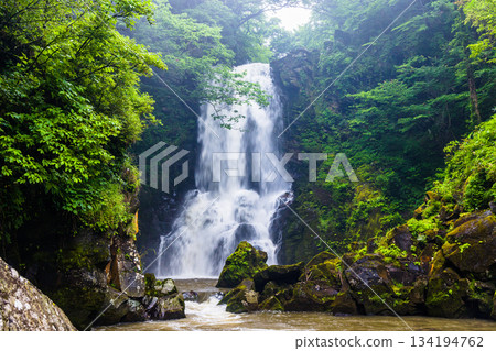 【秋田縣_那須白瀧】白瀧瀑布雷鳴般的轟鳴聲,帶來一種既震撼又清爽的感覺。 【秋田縣_那須白瀧】白瀧瀑布雷鳴般的轟鳴聲,帶來一種既震撼又清爽的感覺。 134194762
