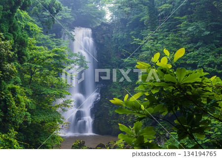 【秋田縣_那須白瀧】白瀧瀑布雷鳴般的轟鳴聲，帶來一種既震撼又清爽的感覺。 134194765