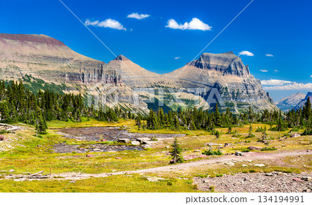 Going-to-the-Sun Mountain rises above small meltwater pond at Hidden Lake Pass in Glacier National Park, Montana. Scenic landscape features rocky peaks and green alpine meadow in UNESCO World Heritage Going-to-the-Sun Mountain rises above small meltwater pond at Hidden Lake Pass in Glacier National Park, Montana. Scenic landscape features rocky peaks and green alpine meadow in UNESCO World Heritage 134194991