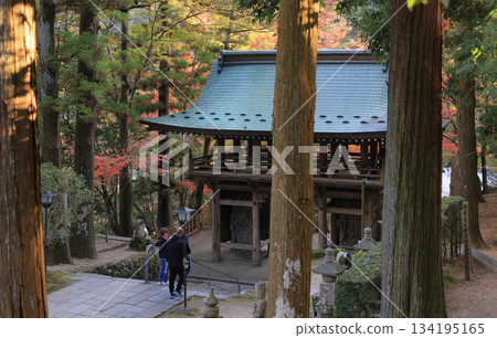秋季,四國巡禮第88座寺廟-大久保寺的二天門和秋葉美景 秋季,四國巡禮第88座寺廟-大久保寺的二天門和秋葉美景 134195165