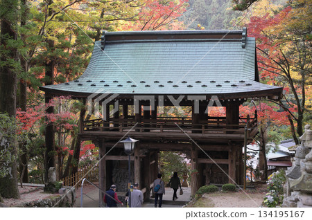 秋季,四國巡禮第88座寺廟-大久保寺的二天門和秋葉美景 秋季,四國巡禮第88座寺廟-大久保寺的二天門和秋葉美景 134195167