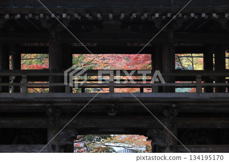 秋季,四國巡禮第88座寺廟-大久保寺的二天門和秋葉美景 秋季,四國巡禮第88座寺廟-大久保寺的二天門和秋葉美景 134195170
