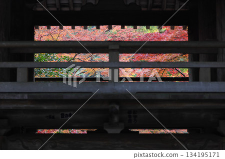 秋季,四國巡禮第88座寺廟-大久保寺的二天門和秋葉美景 秋季,四國巡禮第88座寺廟-大久保寺的二天門和秋葉美景 134195171