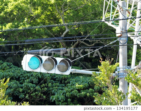 Traffic light blue 134195177