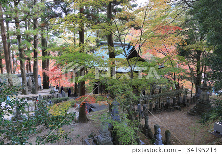 四國巡禮第88座寺廟－大久保寺二天門附近的秋葉 134195213