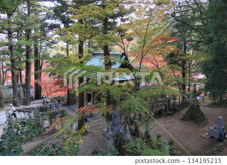 四國巡禮第88座寺廟-大久保寺二天門附近的秋葉 四國巡禮第88座寺廟-大久保寺二天門附近的秋葉 134195215