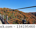 Suspension bridge and autumn leaves 134195460
