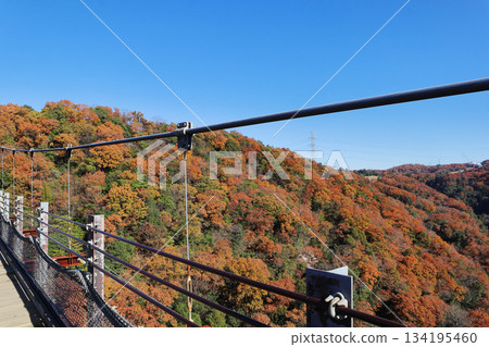 Suspension bridge and autumn leaves Suspension bridge and autumn leaves 134195460