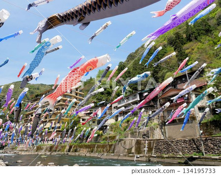 Spring at Tsuetate Onsen: Carp streamers swimming above the Tsuetate River (Oguni Town, Kumamoto Prefecture) Spring at Tsuetate Onsen: Carp streamers swimming above the Tsuetate River (Oguni Town, Kumamoto Prefecture) 134195733