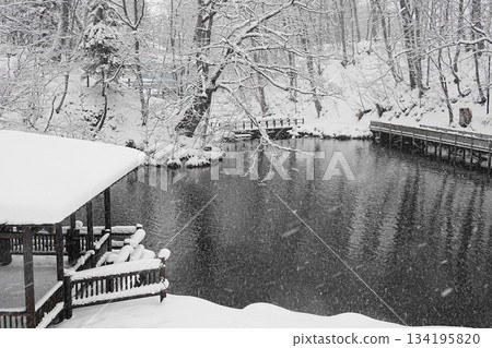 Fukidashi Park on a snowy day 134195820