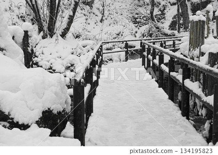 Bridge on a snowy day 134195823