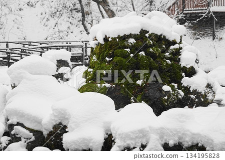 下雪的吹出公園 下雪的吹出公園 134195828