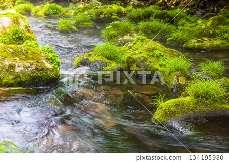 [Akita Prefecture_Mototaki Underground Water] River mist created by the underground water of Mt. Chokai. Summer, July 134195980