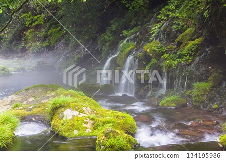 【秋田縣_元瀧地下水】鳥海山地下水形成的河霧。夏季，七月 134195986