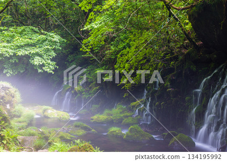 【秋田縣_元瀧地下水】鳥海山地下水形成的河霧。夏季,七月 【秋田縣_元瀧地下水】鳥海山地下水形成的河霧。夏季,七月 134195992