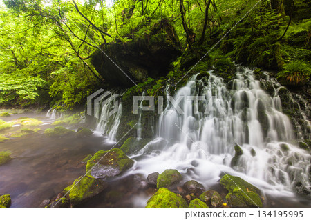 [Akita Prefecture_Mototaki Underground Water] River mist created by the underground water of Mt. Chokai. Summer, July 134195995