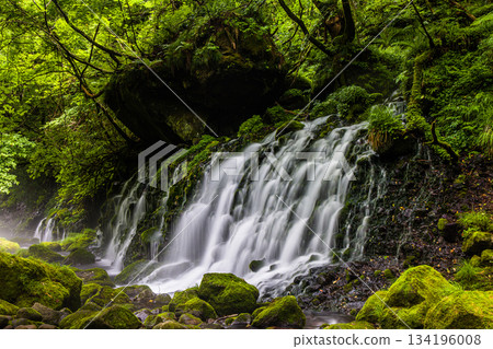 [Akita Prefecture_Mototaki Underground Water] River mist created by the underground water of Mt. Chokai. Summer, July 134196008