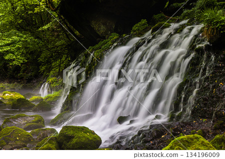 [Akita Prefecture_Mototaki Underground Water] River mist created by the underground water of Mt. Chokai. Summer, July 134196009